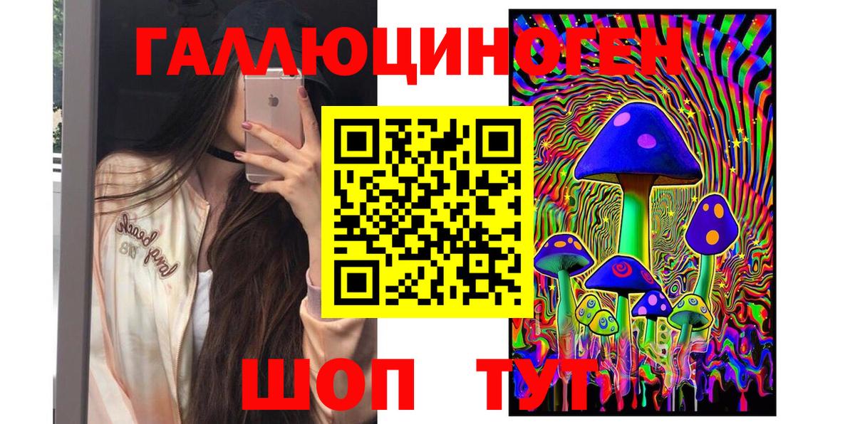 Псилоцибиновые грибы Cubensis Протвино